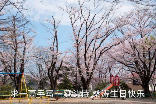 求一高手寫一藏頭詩 桑濤生日快樂