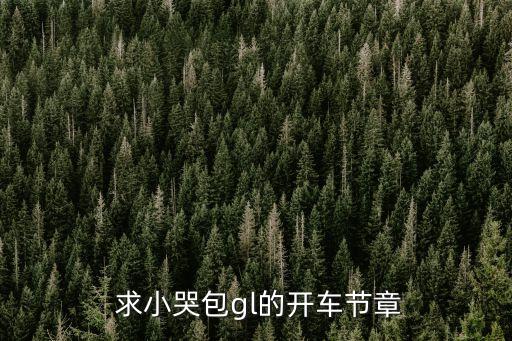 開車黃文，開車文是什么意思