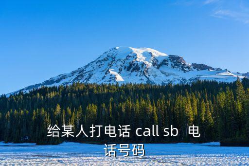 給某人打電話 call sb  電話號碼