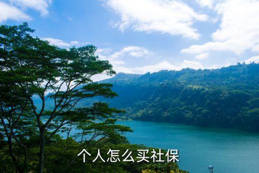 自己買社保怎么買，個人如何自己買社會保險