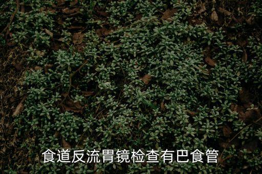 食道反流胃鏡檢查有巴食管