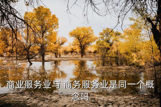商業(yè)服務(wù)，商業(yè)服務(wù)業(yè)與 商務(wù)服務(wù)業(yè)是同一個(gè)概念嗎