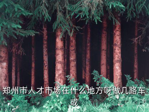 鄭州市人才市場在什么地方呀做幾路車或
