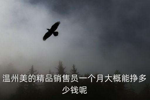 溫州美的精品銷售員一個(gè)月大概能掙多少錢呢