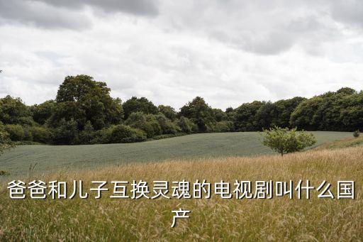 爸爸和兒子互換靈魂的電視劇叫什么國產(chǎn)