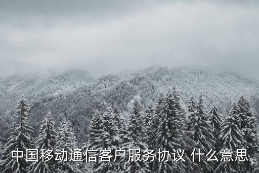 中國移動通信客戶服務協(xié)議 什么意思