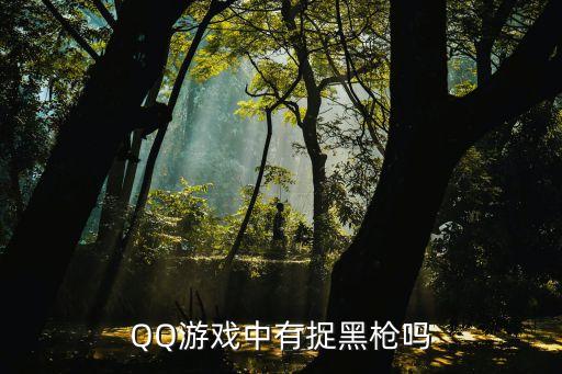 捉黑槍?zhuān)琎Q游戲中有捉黑槍嗎