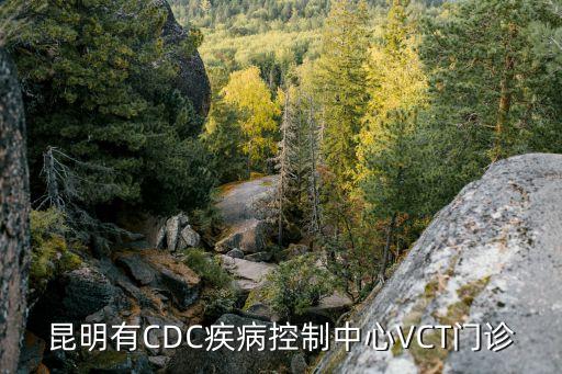 VCT門(mén)診，如果去疾病預(yù)防控制中心里驗(yàn)HIV能不能不進(jìn)入VCT門(mén)診這個(gè)室