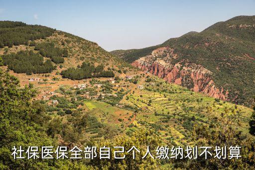 自己交職工醫(yī)保劃算嗎，個人交職工醫(yī)保合算嗎