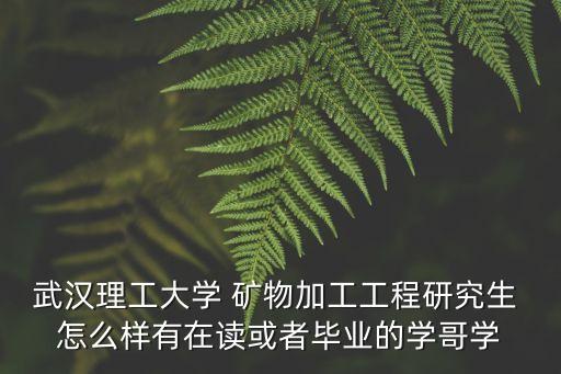 武漢理工大學(xué) 礦物加工工程研究生 怎么樣有在讀或者畢業(yè)的學(xué)哥學(xué)