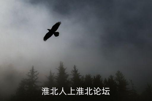 淮北人上淮北論壇