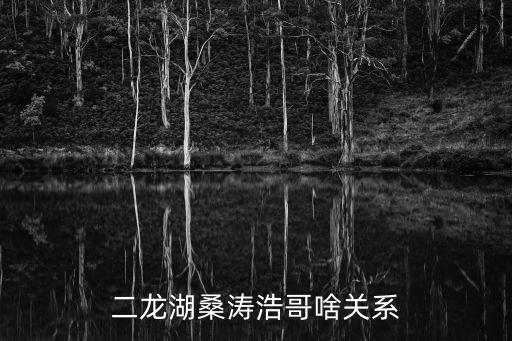 二龍湖桑濤浩哥啥關(guān)系