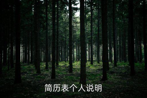 簡歷表個(gè)人說明
