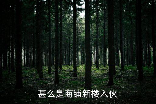 甚么是商鋪新樓入伙