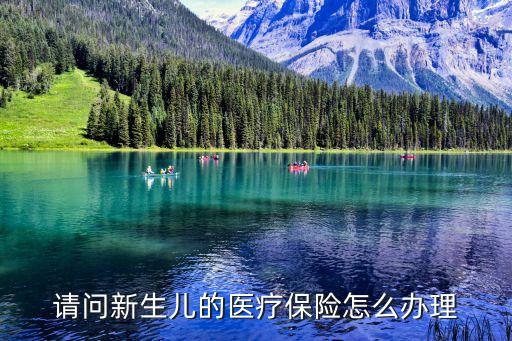 請問新生兒的醫(yī)療保險怎么辦理