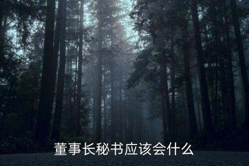 董事長秘書，董事長秘書應(yīng)該會什么