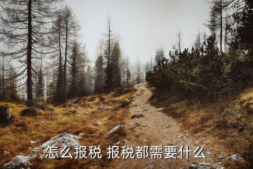 怎么報(bào)稅 報(bào)稅都需要什么