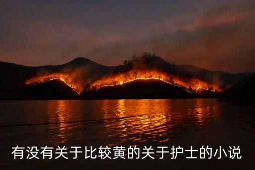 有沒有關于比較黃的關于護士的小說