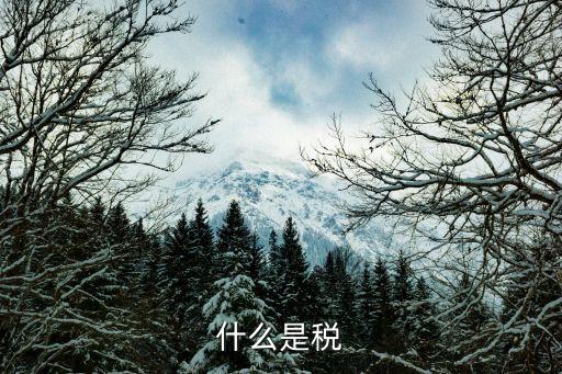 什么是稅