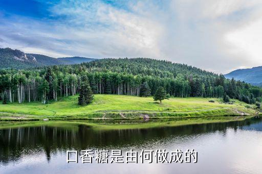 口香糖成分，口香糖是由何做成的