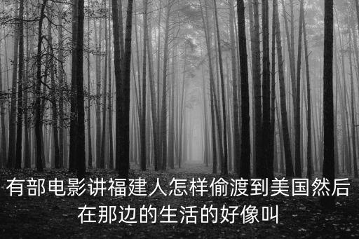 有部電影講福建人怎樣偷渡到美國然后在那邊的生活的好像叫