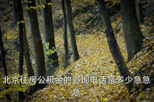 北京住房公積金的咨詢電話是多少急急急