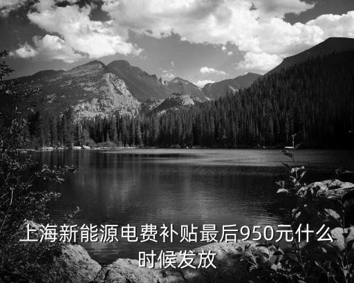 上海新能源補貼，上海購買新能源汽車如何申請補貼