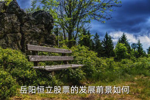 岳陽恒立，岳陽恒立就業(yè)前景如何
