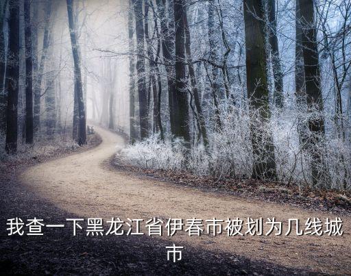 伊寧市是幾線城市，我查一下黑龍江省伊春市被劃為幾線城市