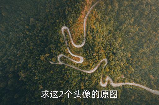 工程人頭像，你的頭像是女工程師嗎