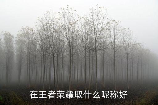 在王者榮耀取什么呢稱好