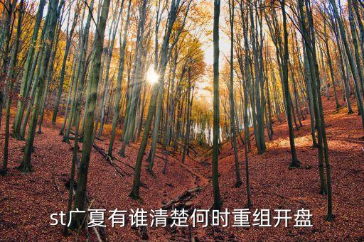 st廣珠，st廣夏有誰(shuí)清楚何時(shí)重組開(kāi)盤(pán)