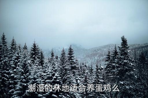 林地養(yǎng)雞，私自圈圍集體林地養(yǎng)雞犯法嗎