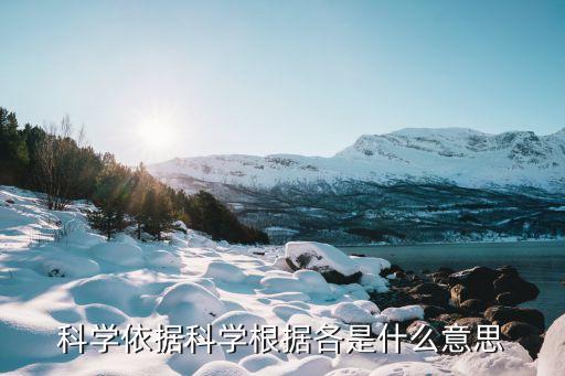 依據(jù)的意思，請(qǐng)問標(biāo)準(zhǔn)和依據(jù)本質(zhì)上的區(qū)別在哪兒
