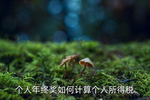 個(gè)人年終獎(jiǎng)如何計(jì)算個(gè)人所得稅