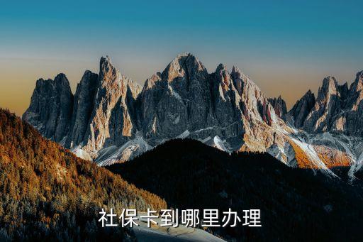 社?？ㄈツ睦镛k，社保卡去哪里辦