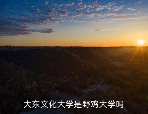 大東文化大學(xué)，大東文化大學(xué)是野雞大學(xué)嗎