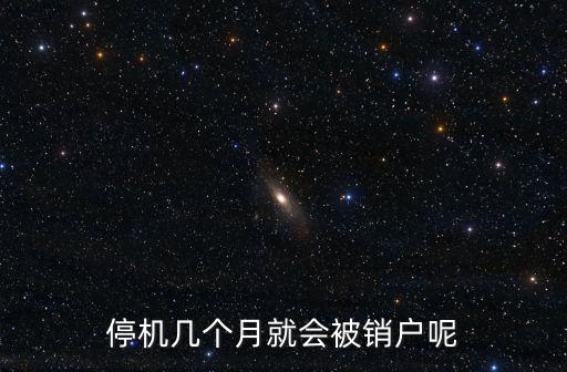停機保號多久會被注銷，停機保號后號碼多久會自動注銷