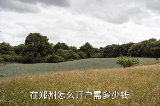 鄭州開戶，在鄭州怎么開戶需多少錢