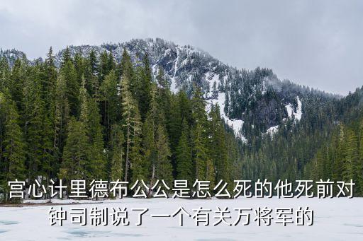 德布，gba皇家騎士團中文版魔女是叫德布還是得布