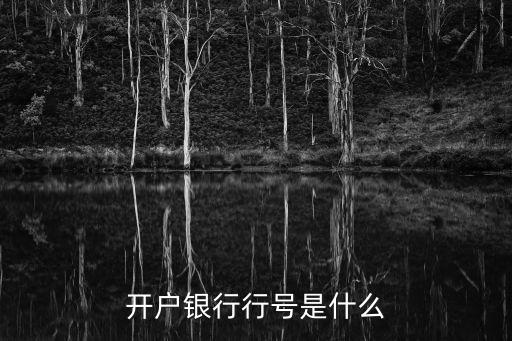開戶行號是什么，開戶銀行行號是什么