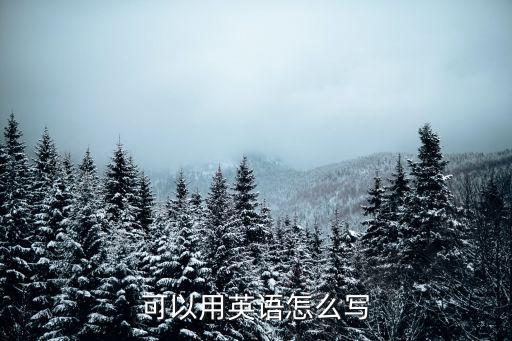 可以用英語怎么寫