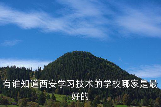 有誰知道西安學(xué)習(xí)技術(shù)的學(xué)校哪家是最好的