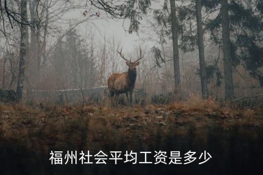 福州平均工資，福州社會(huì)平均工資是多少