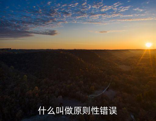原則性錯誤，原則性錯誤不能犯是嗎