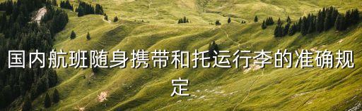 國(guó)內(nèi)航班隨身攜帶和托運(yùn)行李的準(zhǔn)確規(guī)定