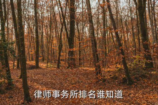 中國律所排名，國內(nèi)口碑最好的律師事務(wù)所是哪一家
