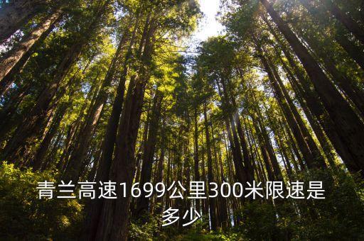 青蘭高速1699公里300米限速是多少