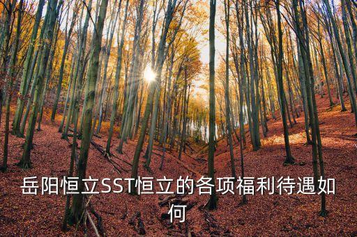 岳陽恒立SST恒立的各項福利待遇如何