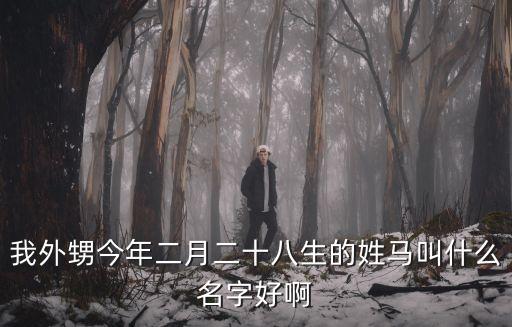 馬錦華，在線我叫馬錦華幫我看一下這個名字的含義打一下分